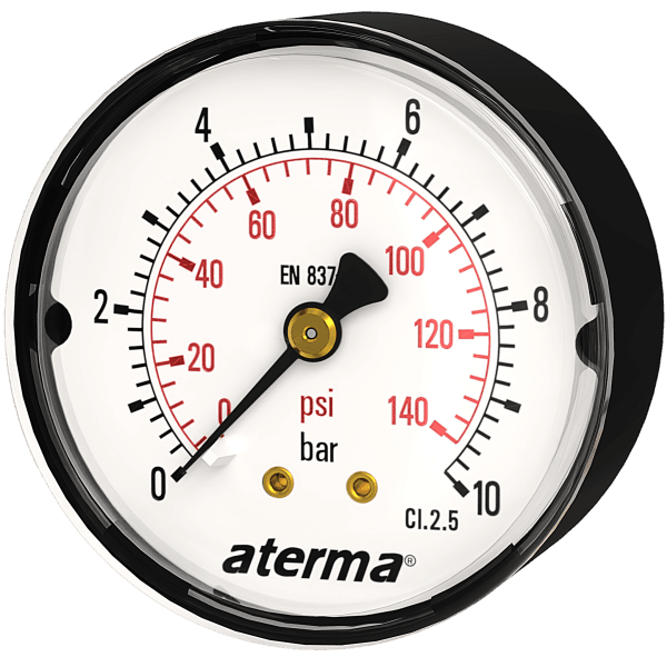 S100